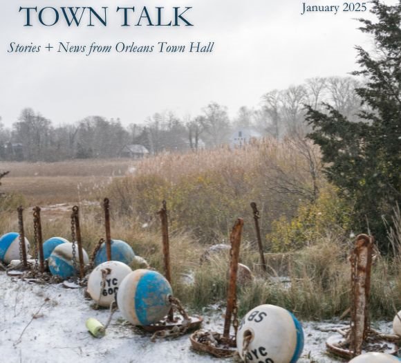 Picture of buoys with snow