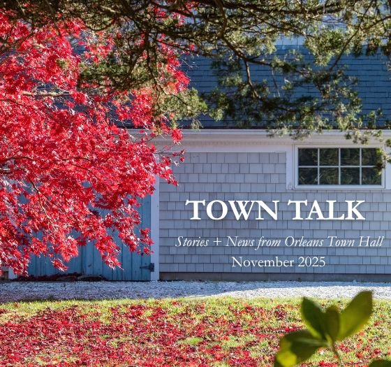 November Town Talk Header