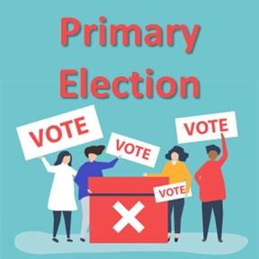 primary election thumbnail