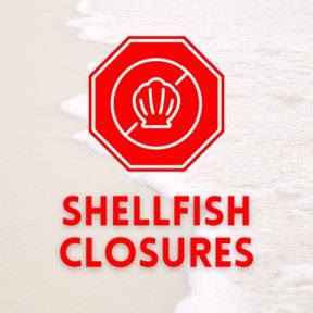 shellfish closures thumbnail