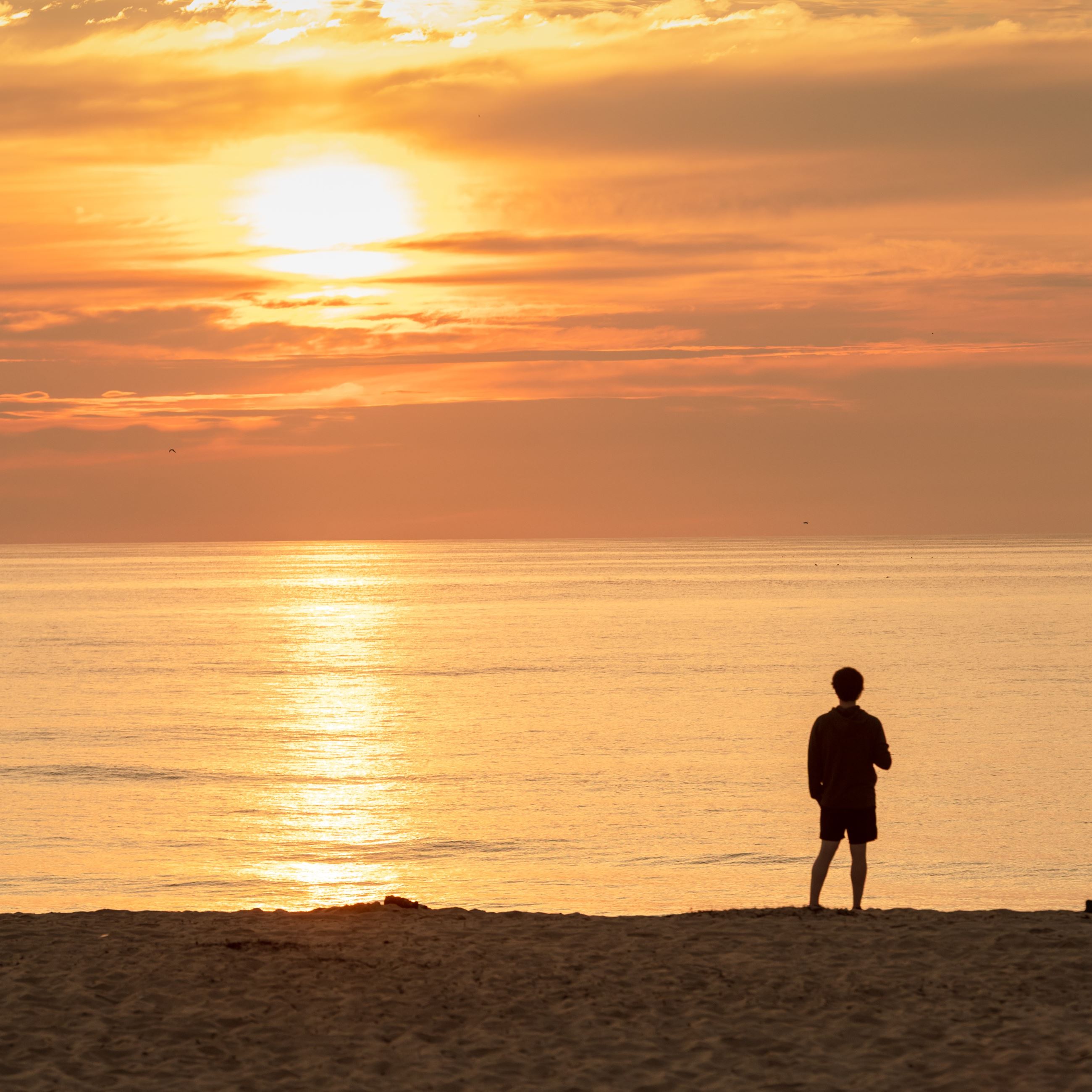 orleanssummernausetbeachsunrise2025-2-1865